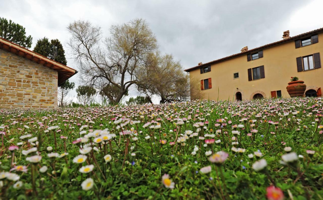 Agriturismo Villa Mozart Nel Verde Губбио Экстерьер фото